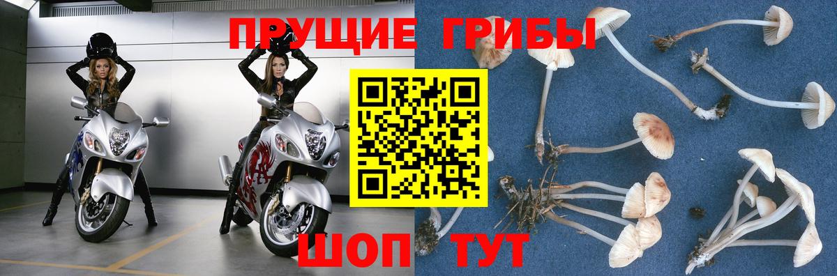 Галлюциногенные грибы MAGIC MUSHROOMS  Псилоцибиновые грибы MAGIC MUSHROOMS  Звенигород  Вход с VPN 